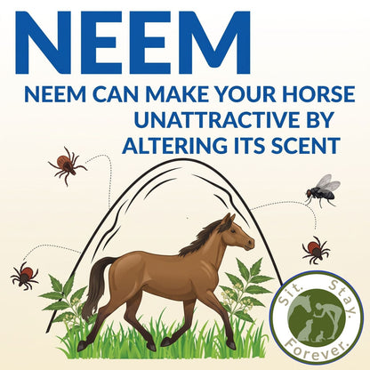 Organic Horse Fly Spray | Natural Fly Repellent for Horses | Sit Stay Forever.