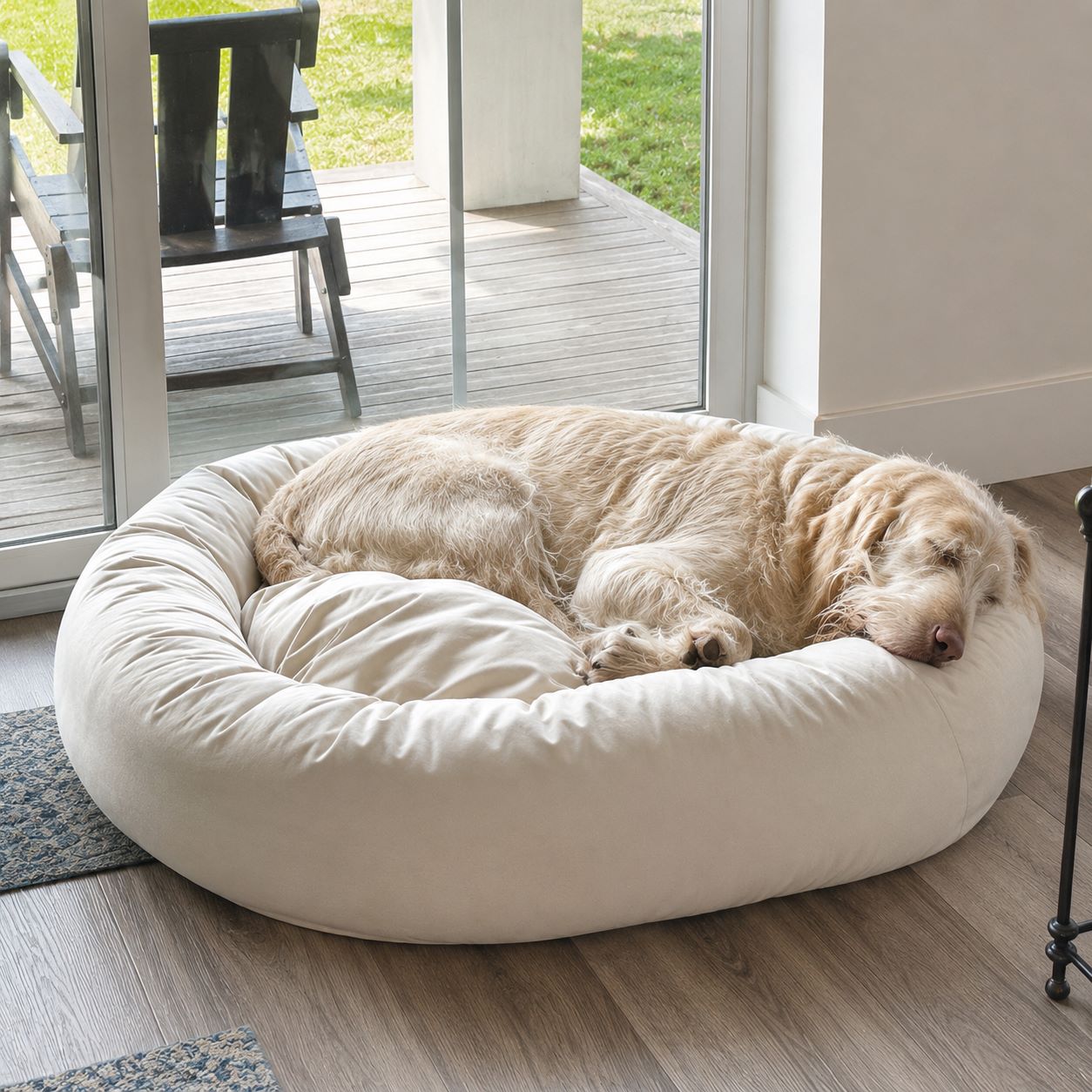 yellow brussel griffon sleeping in a Sit Stay Forever round organic cotton bolster bed next to a sliding glass door