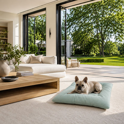 Dog lying on a Sit Stay Forever square organic cotton dog bed in the color Sea Mist in a modern living room with large windows.
