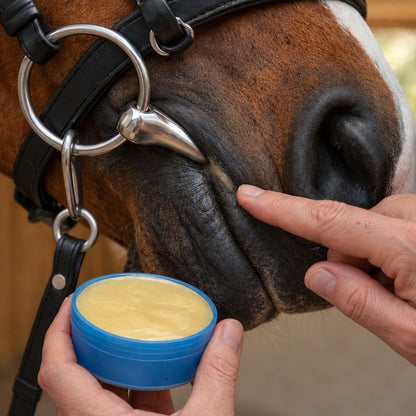 Lanolin, Neem & Calendula Natural Horse Balm for Skin & Hooves