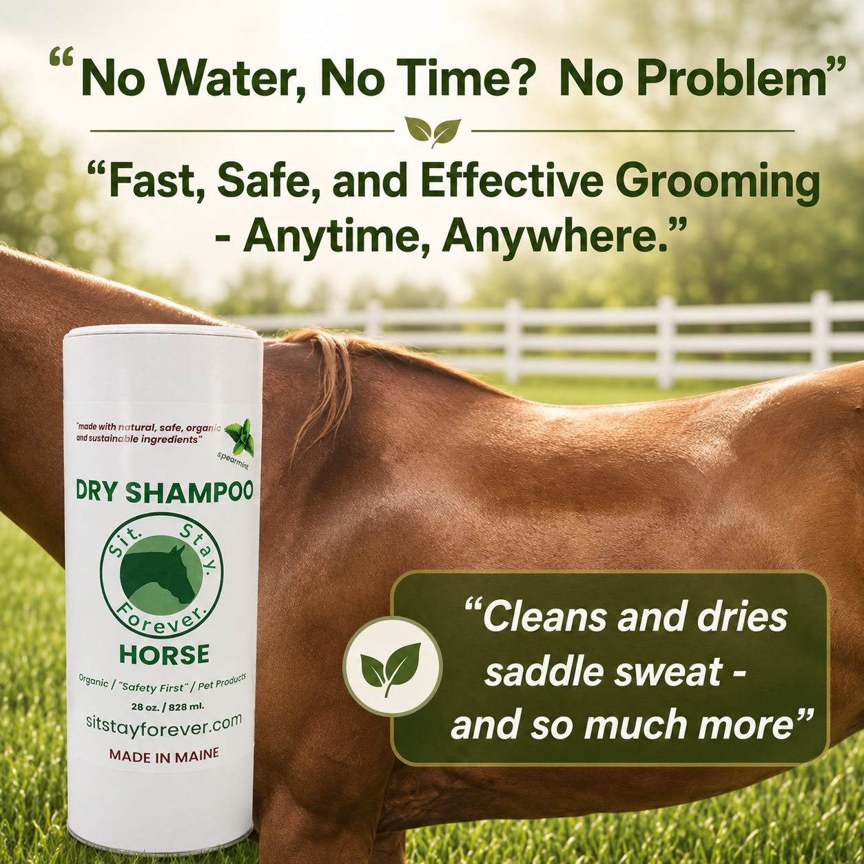 Horse with a can of dry shampoo labeled 'Sit Stay Forever Horse' in a grassy field.
