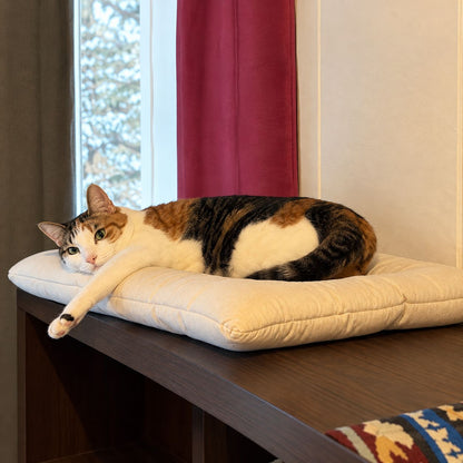 Organic Cotton Square Dog & Cat Bed