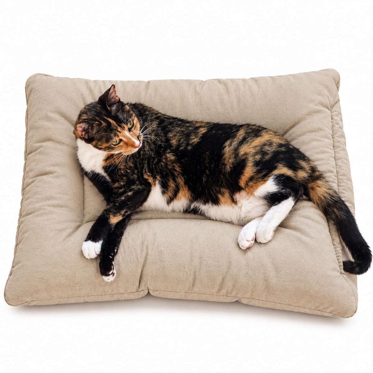 Organic Cotton Square Dog & Cat Bed