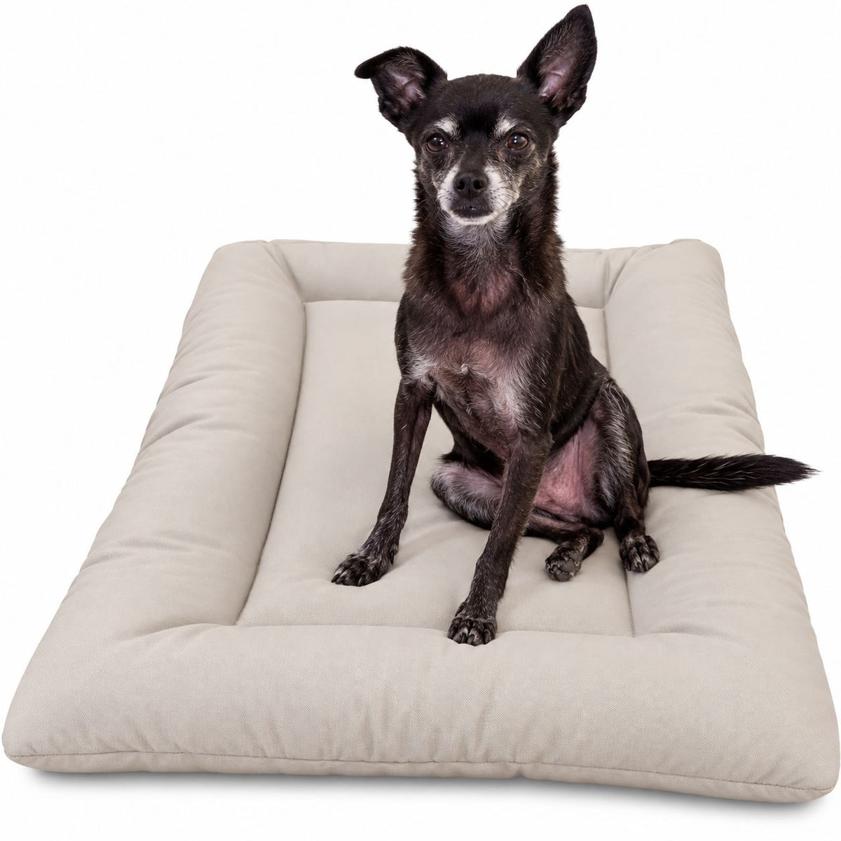 Organic Cotton Square Dog & Cat Bed