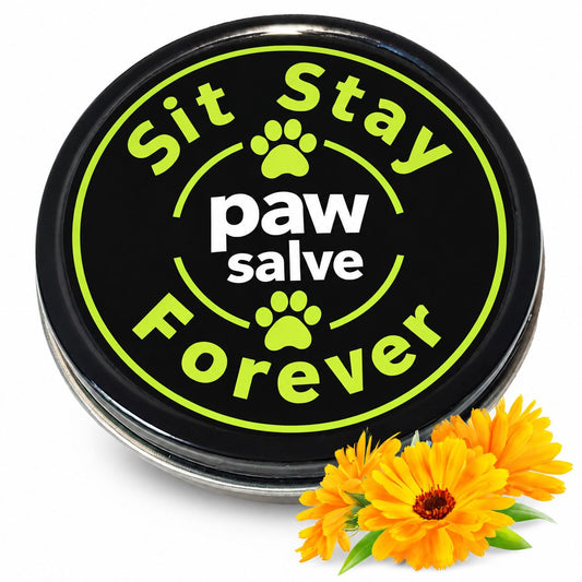 Organic Paw Salve for Dogs & Cats – All-Season Moisturizing Balm (2 oz)