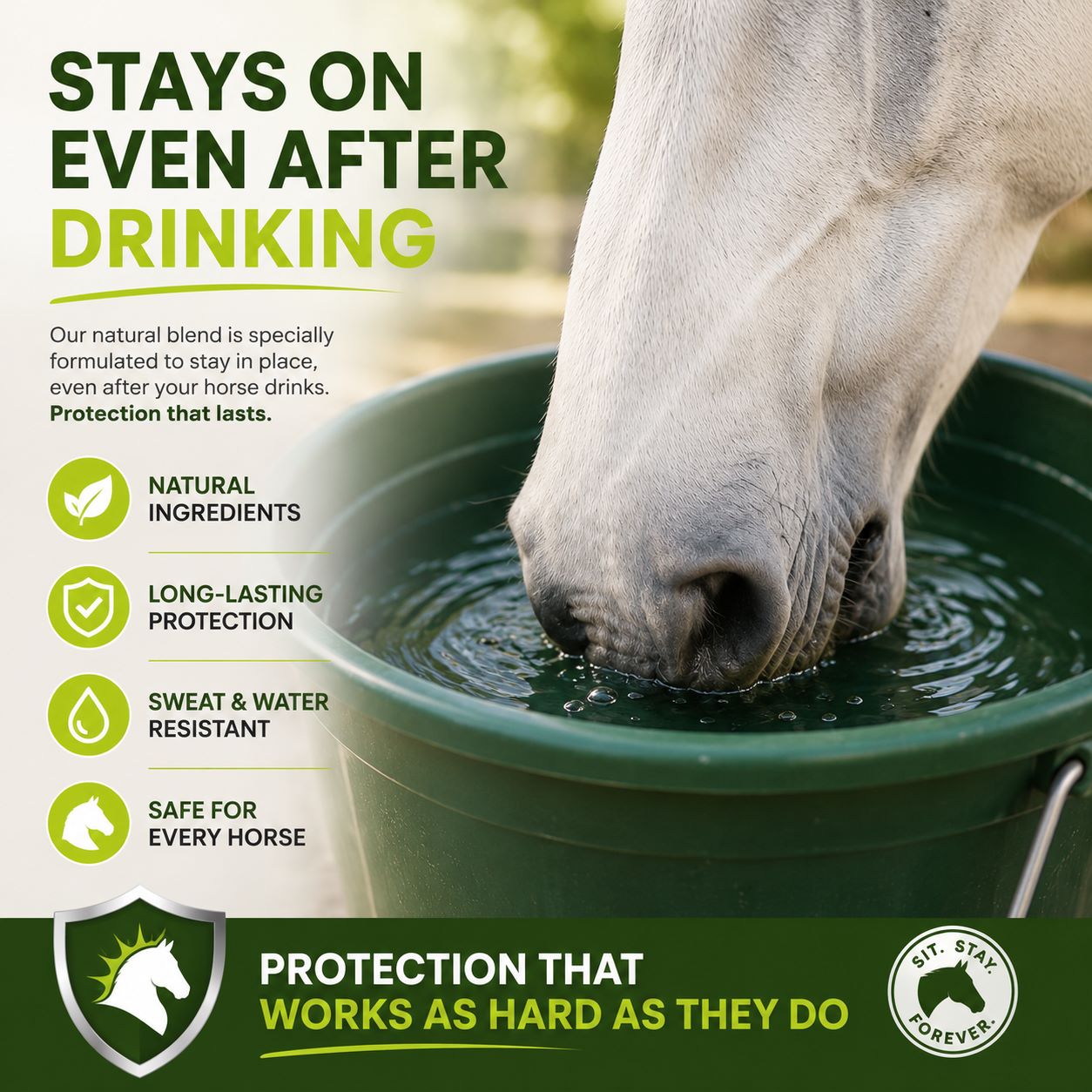 Sunscreen for Horses