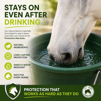 Sunscreen for Horses