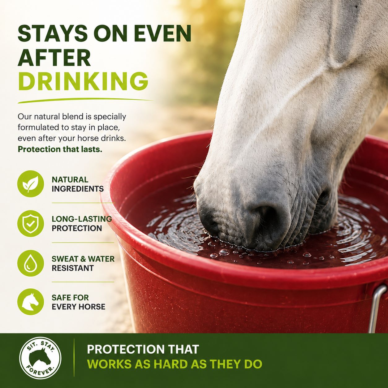 Sunscreen for Horses