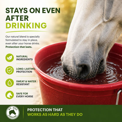 Sunscreen for Horses