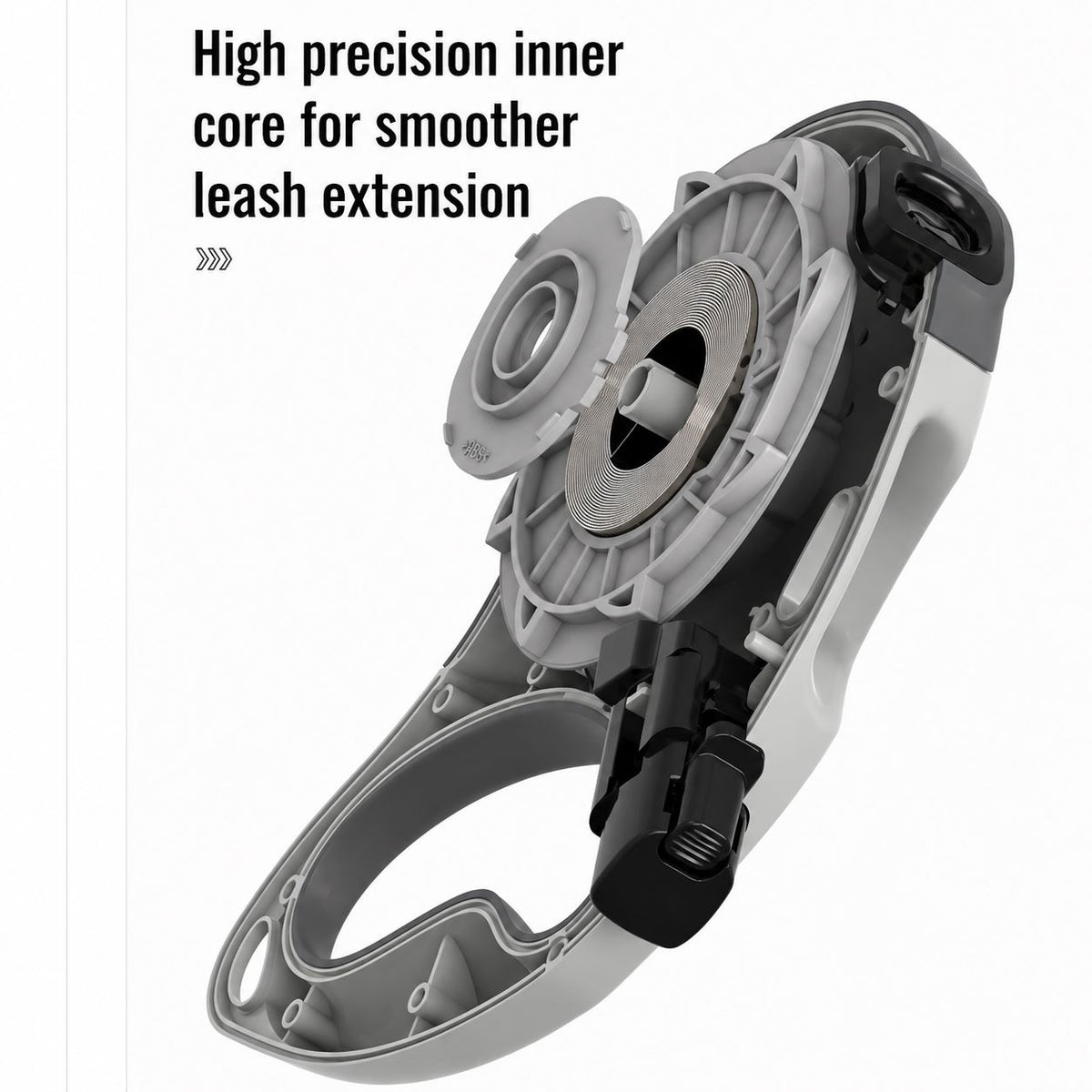 Inside of a retractable dog leash spring core