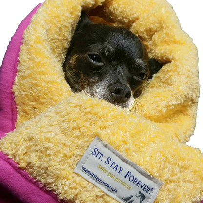 A dog being wrapped in a oxin Free Plush and Curly Velour Throw. The dog appears to be warm and comfortable.